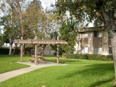Sutter's Mill