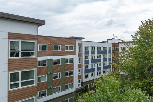 Photo - The Confluence