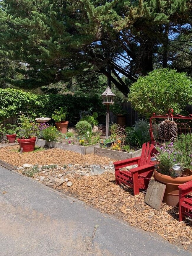 Photo - Wonderful 3 bedroom, 2 bathroom house in the Jacks Peak area