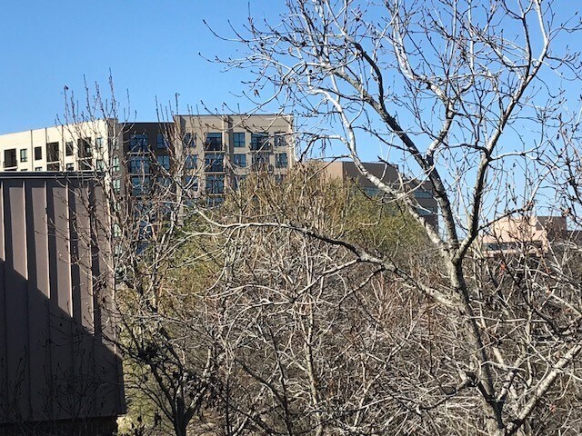 Photo - 2207 S Braeswood Blvd Unit 43b