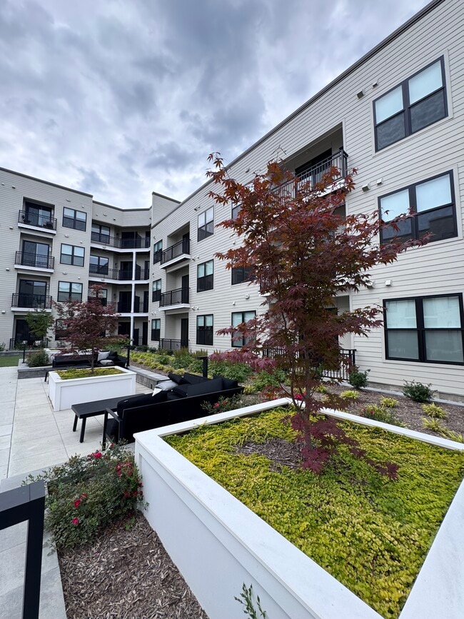 Courtyard 3 - Berkeley House