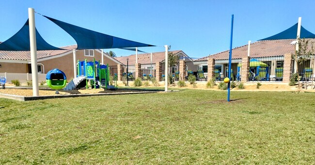 Olive Tree Apartments