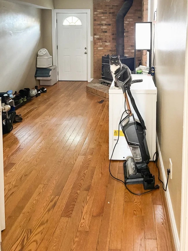 Photo - 5506 New Colony Dr