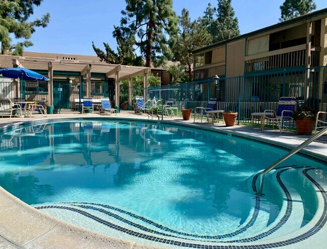 Photo - Daisy Apartments