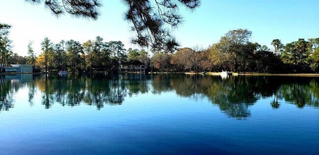 Photo - 13203 Holston Hills Dr