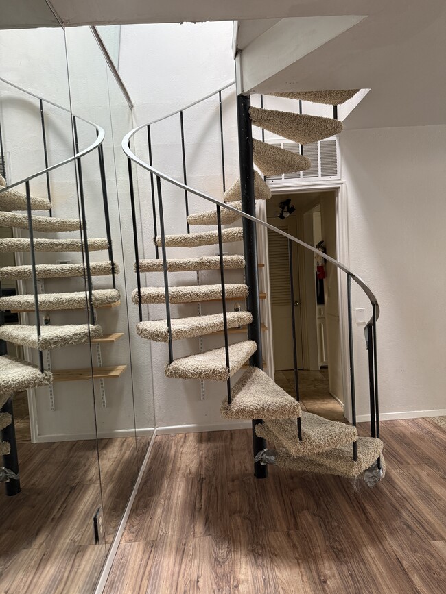 Photo - 2704 San Pedro St Unit 14