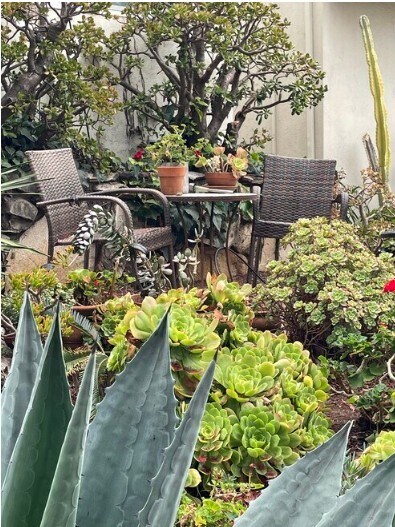 Garden in front w/ chairs