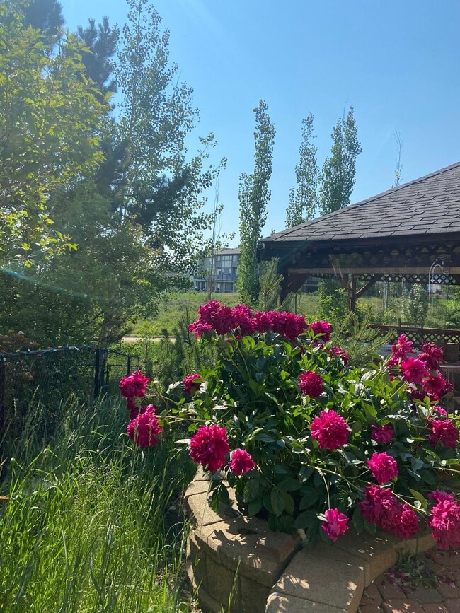 garden view across the ravine - 268 Kincora Hts NW Unit NW Walkout Basement Suite