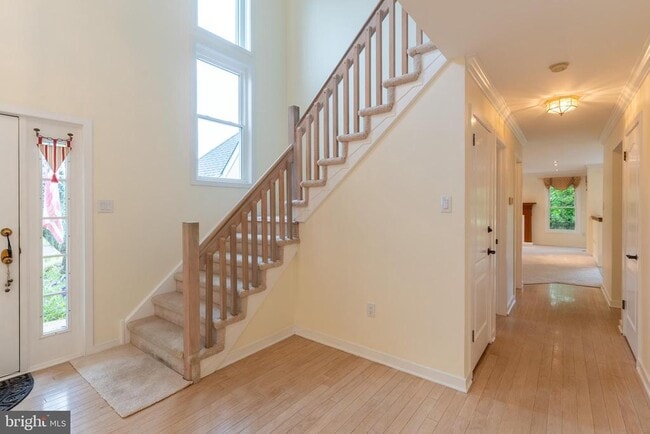 Photo - 56 W Windrose Dr