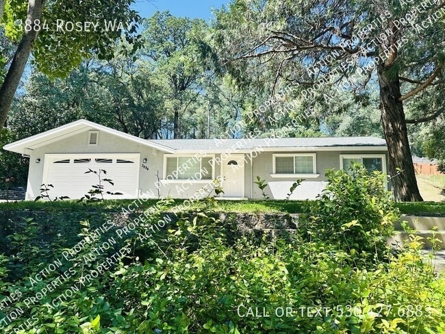 Building Photo - 3884 Rosey Way