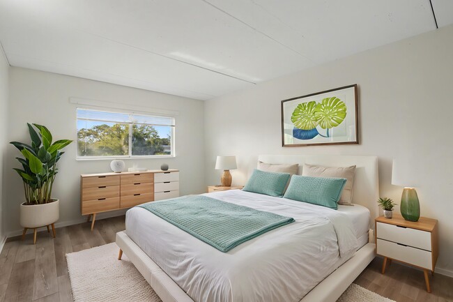 Photo - Addison Cove