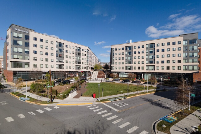 Photo - Terrapin Row