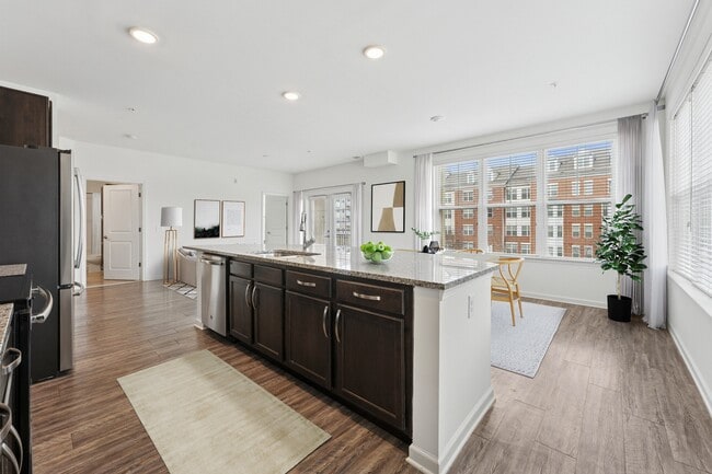 Photo - Allure Apollo