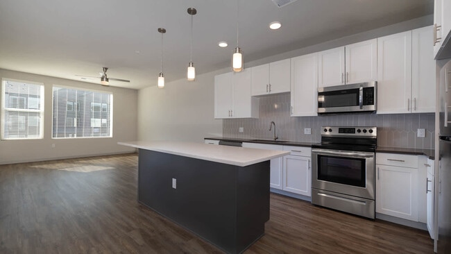 Kitchen and Living Area with Hard Surface Flooring