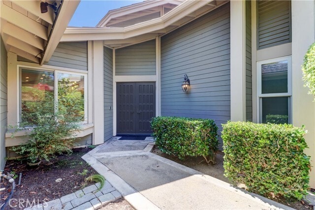 Photo - 6 Morning Glory