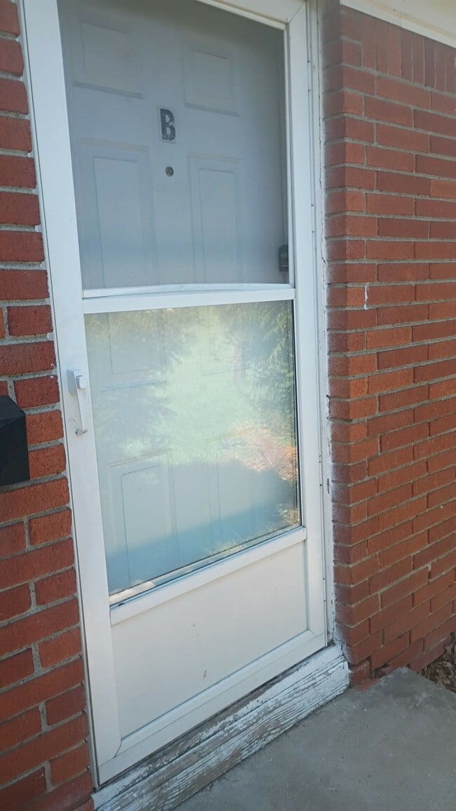 Photo - 251 Graham St