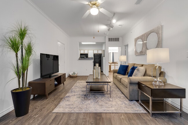 Photo - Vineyard Springs