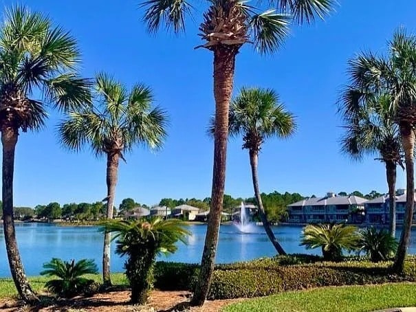 Photo - 2019 Pine Island Cir