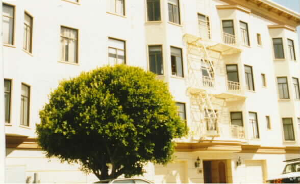 290 Alhambra St