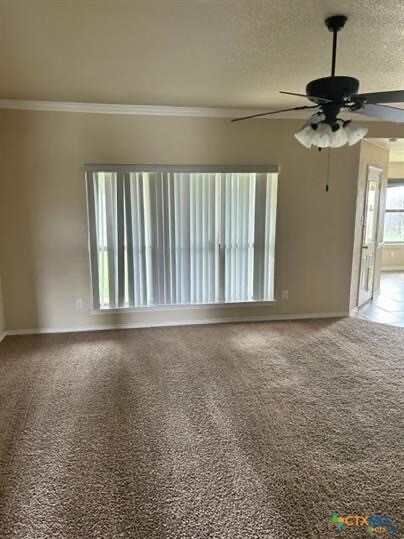 Photo - 2517 Vernice Dr