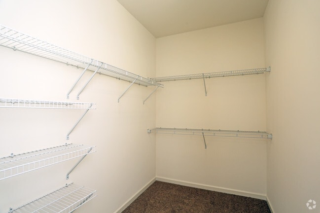Organized Walk-In Closet