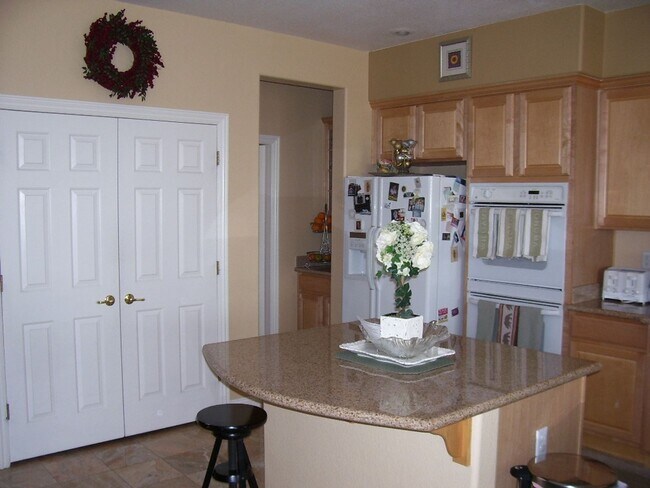 Photo - LACEBARK PINE