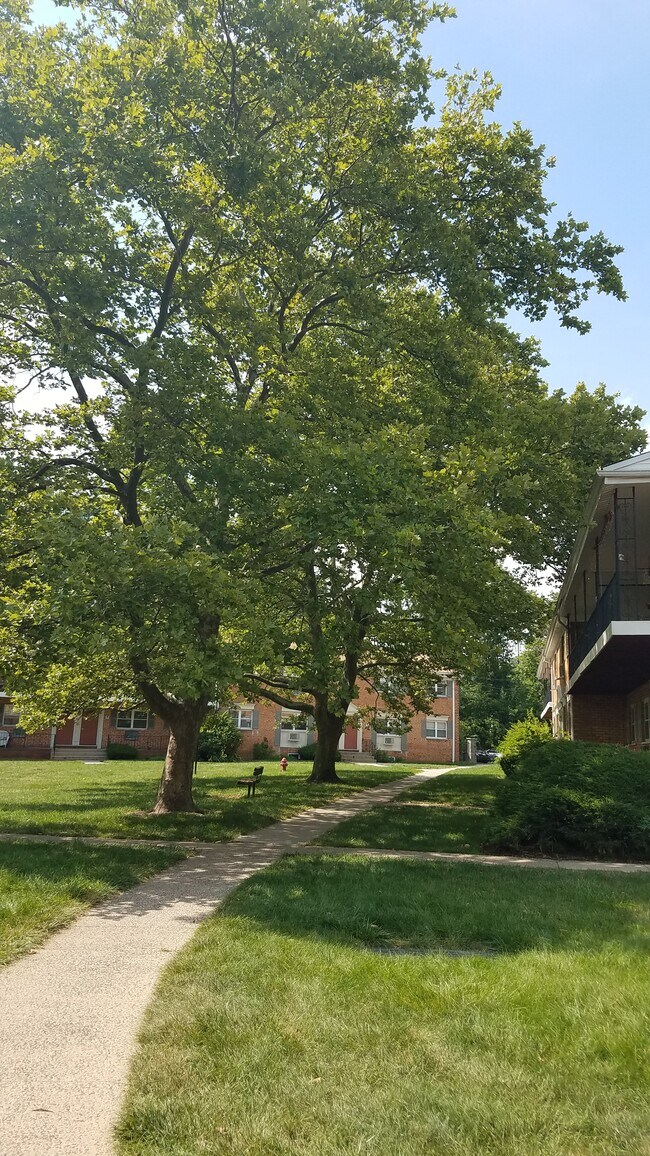 Metropark Station Apartments For Rent in Iselin, NJ