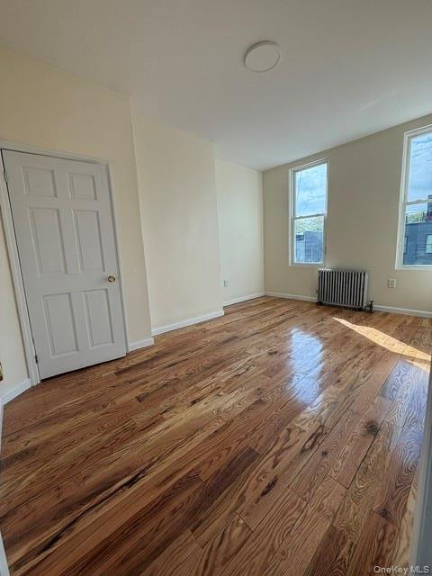 253 Eldert St Unit 3