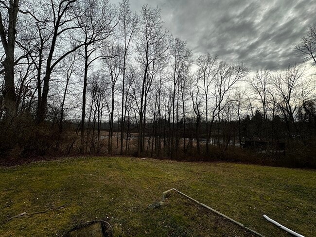 Photo - 177 Orchard St