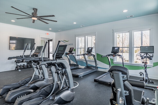 Fitness Center Equipment