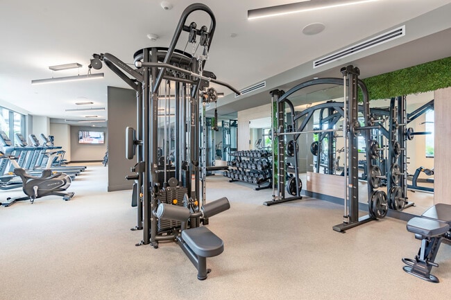 Gimnasio