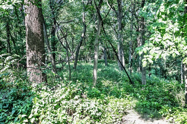 Deer Park