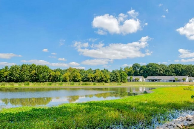 Lakeside Lake
