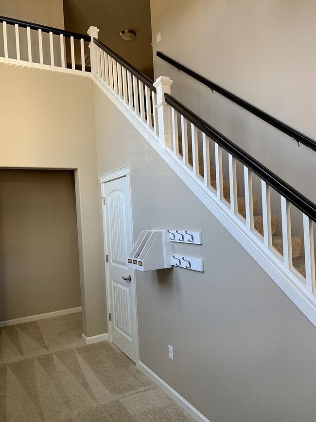 Photo - 4 Bedroom Home in Freestone at Bayside!