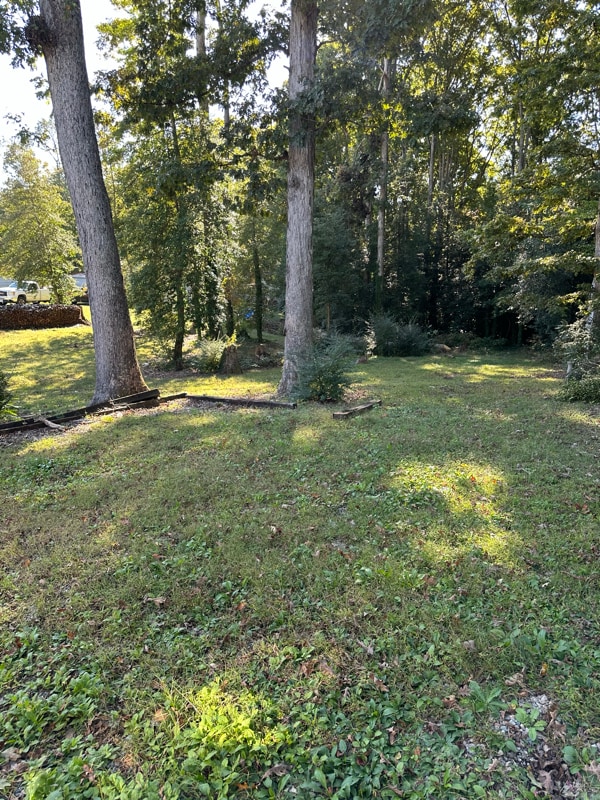 Photo - 1224 Courthouse Rd