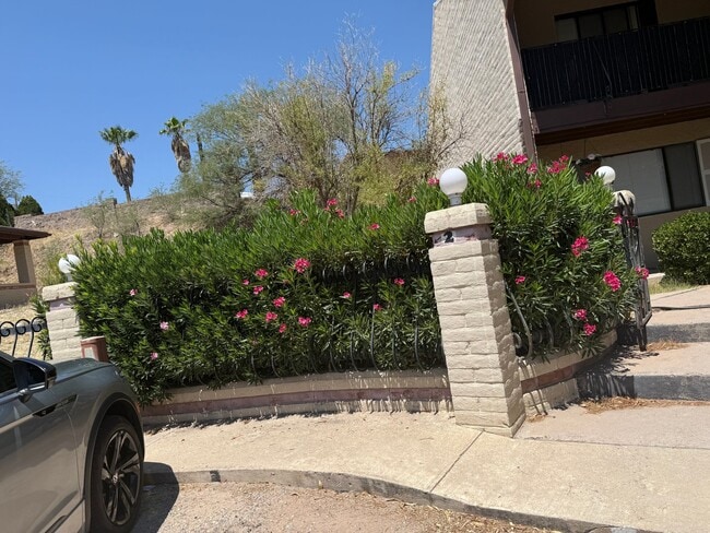 Photo - 797 W Mesa Verde Dr Unit 797 W Mesa Verde Dr