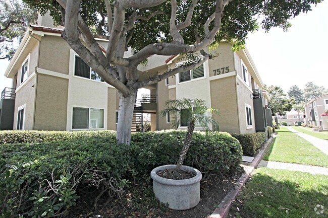 Building Photo - 7575 Charmant Dr Unit 1012 Rental