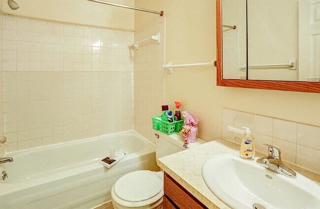 Apartment Bathroom at Williamsburg on the Lake