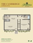 The Cambridge