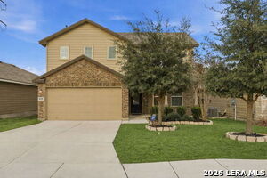Photo - 15135 Longtailed Duck