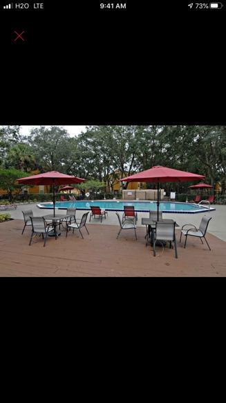 North Kissimmee 1 Bedroom Apartments For Rent Orlando Fl