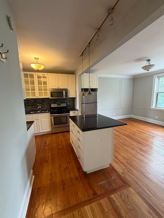 Photo - 542 W Surf St Unit 2BED