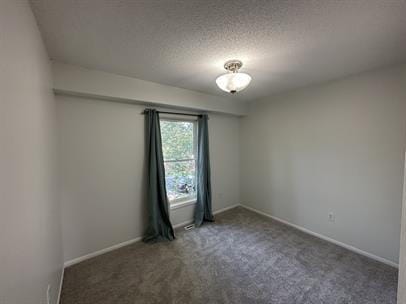 Photo - "Charming Anoka Retreat: 3-Bedroom Home with Finished Basement & Large Yard with Fence!"