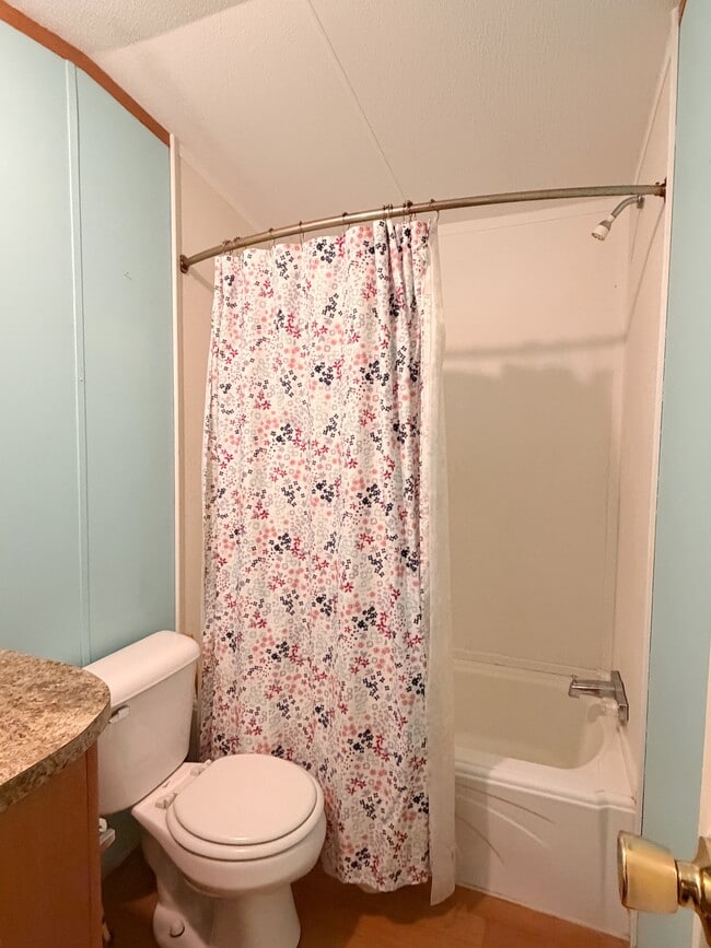 Photo - Vibrant Way # 3