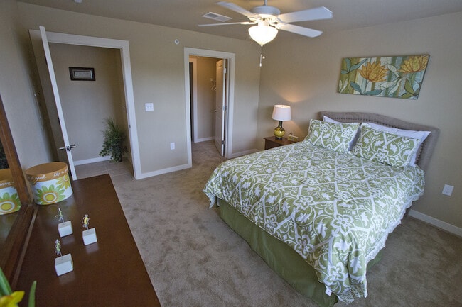 Photo - Cypress Gardens