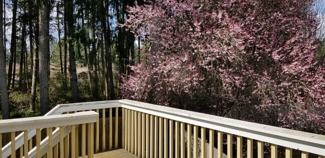 Photo - 4 bedroom plus den, living room and family room. North Thurston School Disctrict.