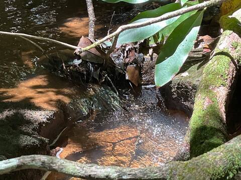 Photo - 1359 Camp Creek Rd Unit Suite TWO