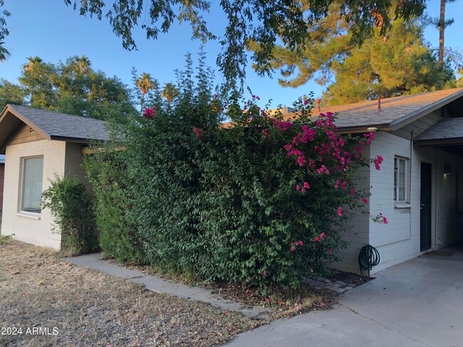 Photo - 1719 S El Camino Dr