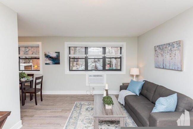 1 bedroom in Chicago IL 60657 - 1 bedroom in Chicago IL 60657 Unidad 312 Rental