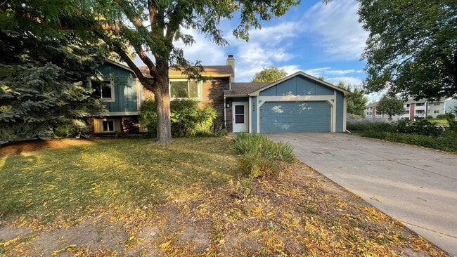 Photo - Great Home in Fort Collins